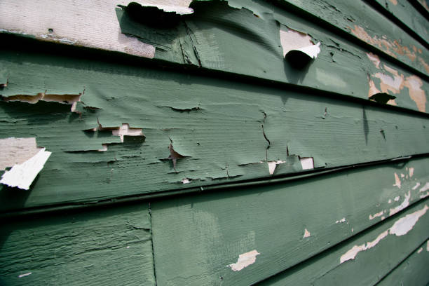 Recycling Services for Junk in Lakes Of The Four Seasons, IN