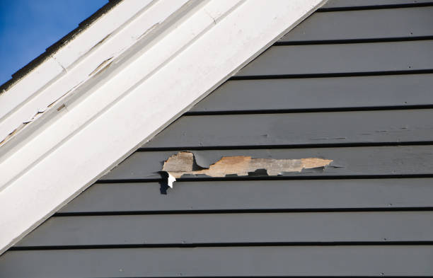 Best Demolition Debris Removal  in Lakes Of The Four Seasons, IN